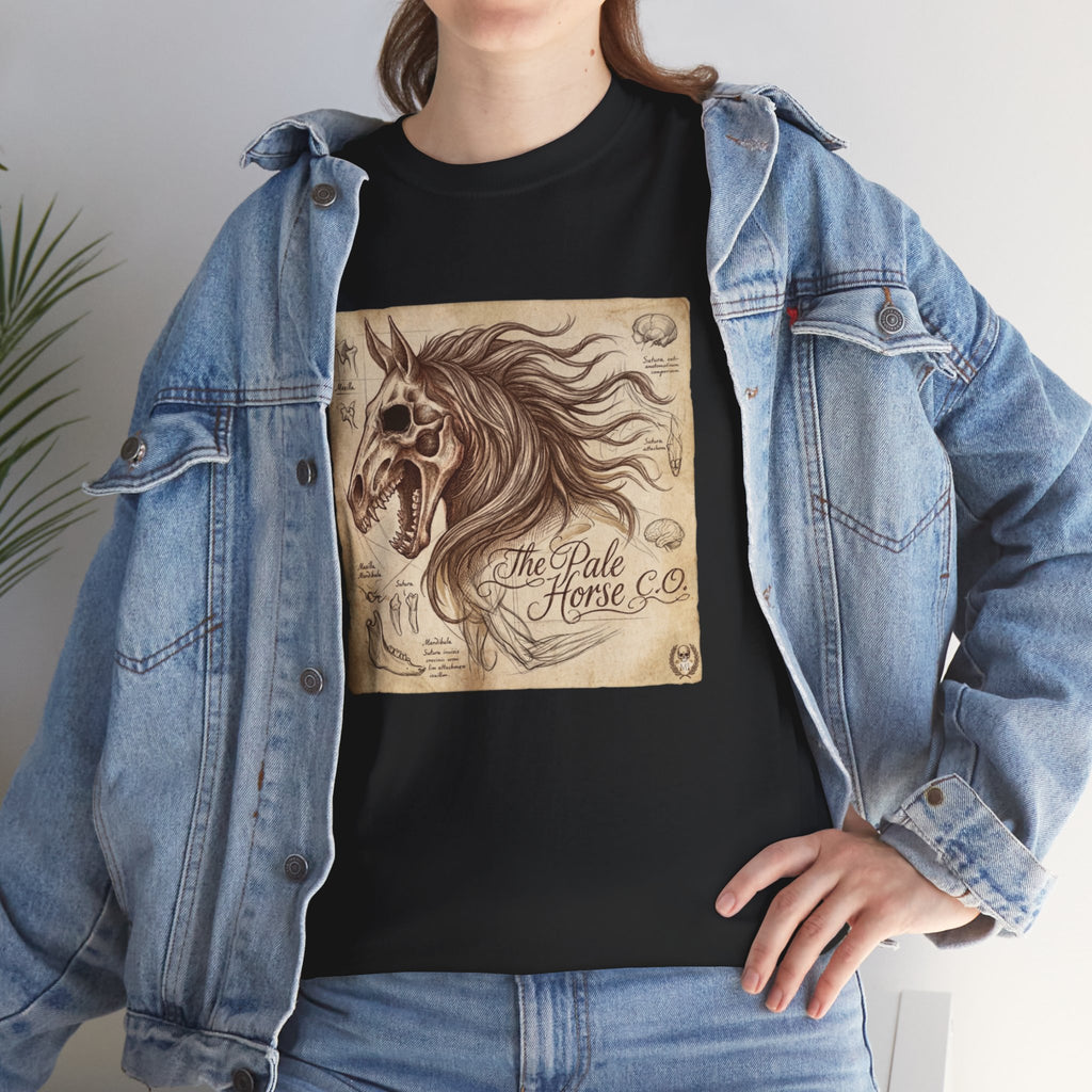 Anatomia Equi Pale T-Shirt