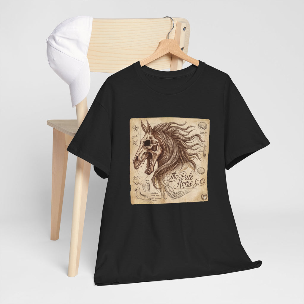 Anatomia Equi Pale T-Shirt