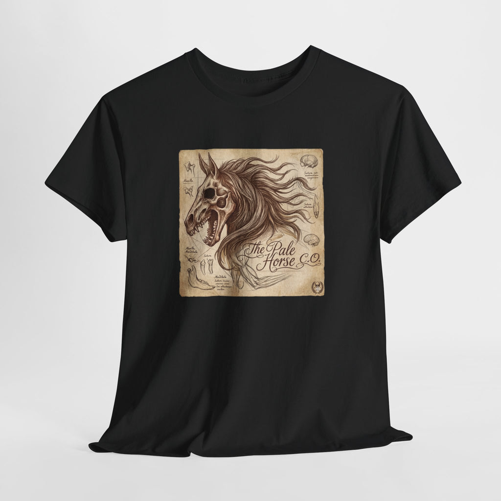Anatomia Equi Pale T-Shirt
