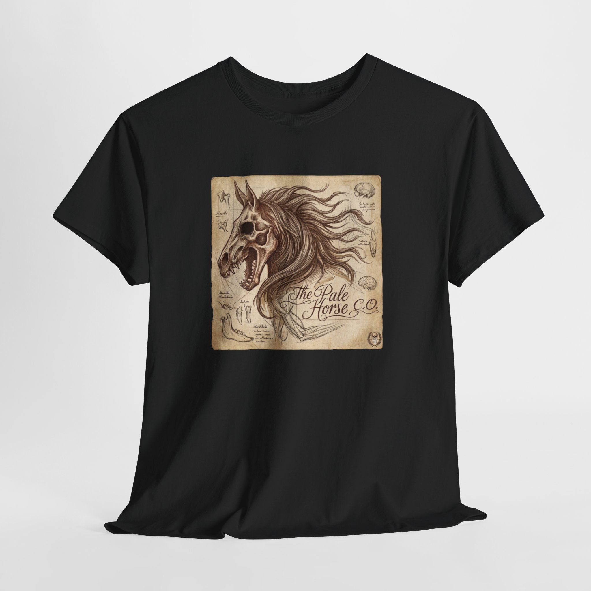 Horse Skull Illustration Tee — 'The Lone Horse Co.' Vintage Gothic Graphic T-Shirt