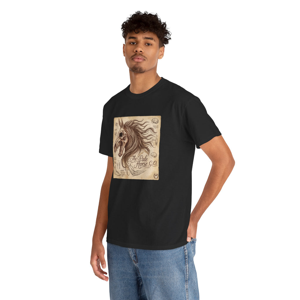 Anatomia Equi Pale T-Shirt