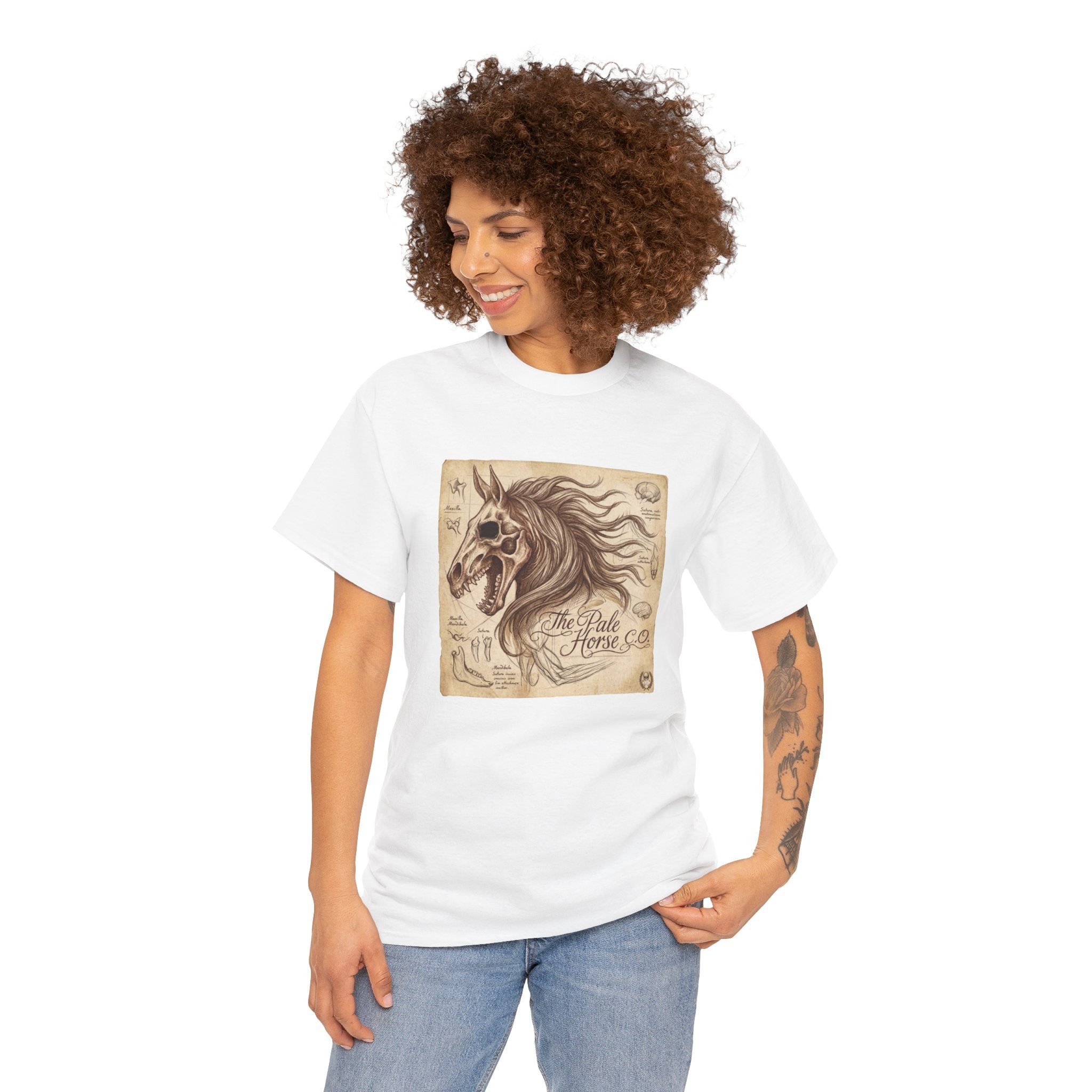 Anatomia Equi Pale T-Shirt