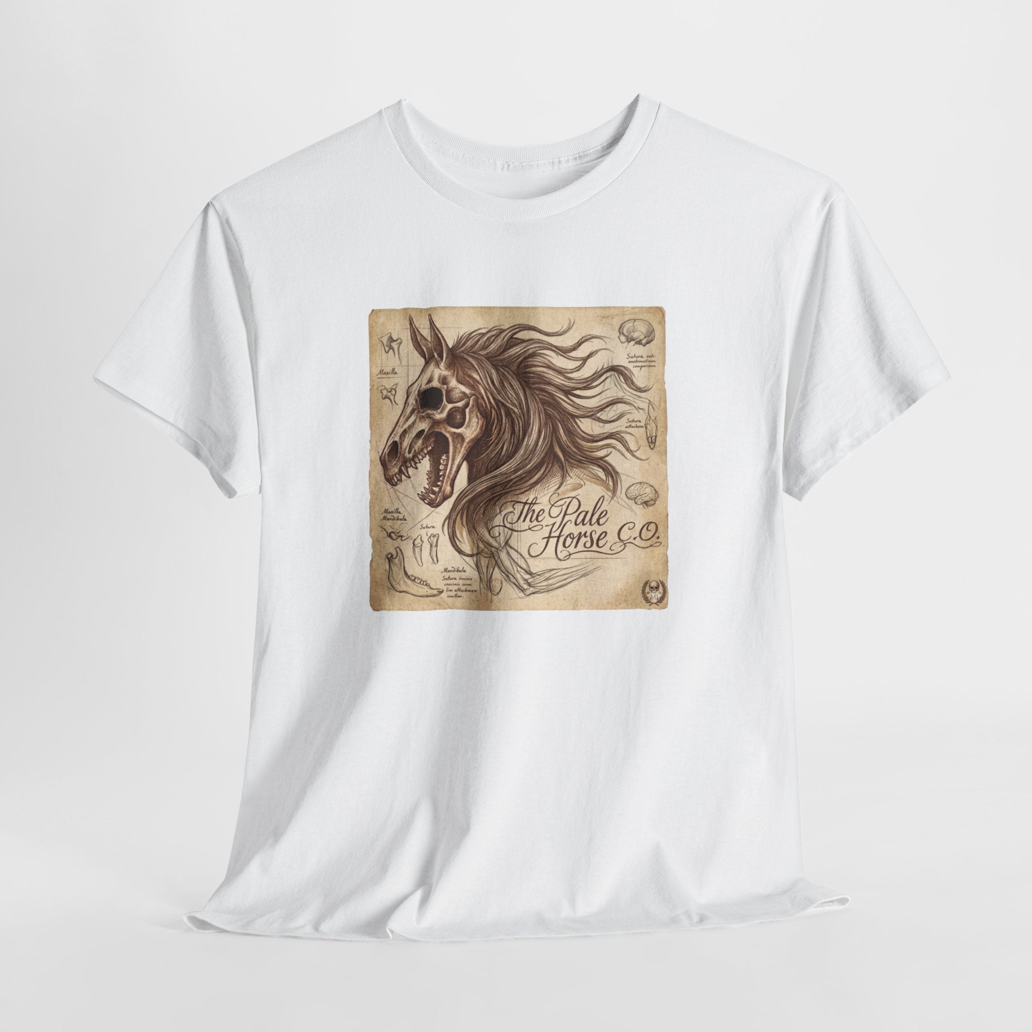 Horse Skull Illustration Tee — 'The Lone Horse Co.' Vintage Gothic Graphic T-Shirt